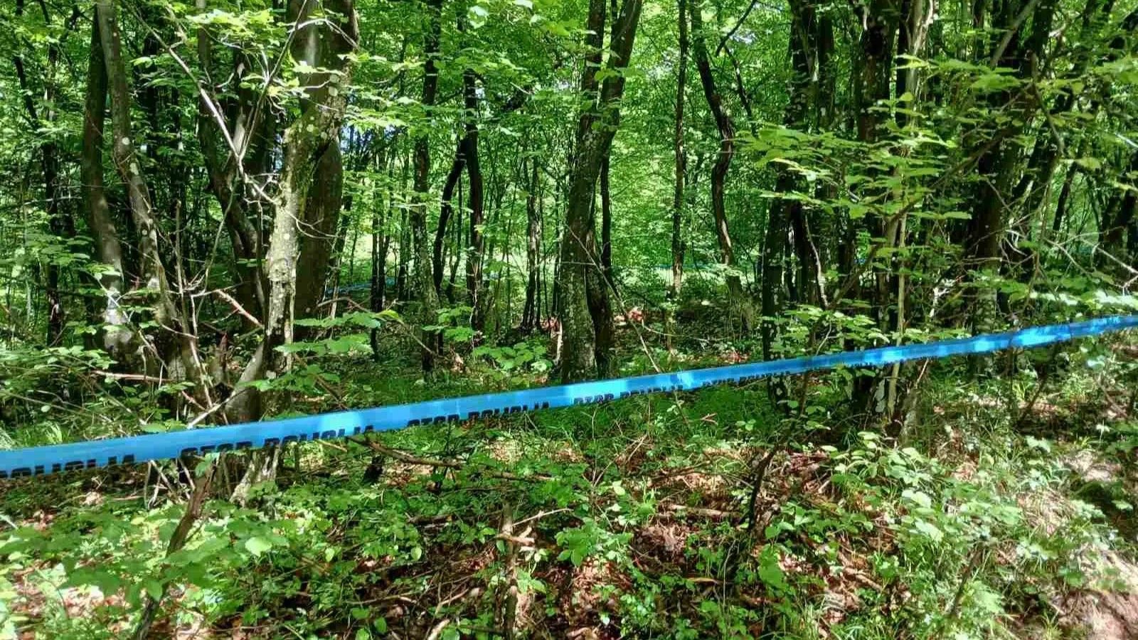 Posmrtne ostatke nedavno su uočili građani koji su vršili iskopavanja na ovom lokalitetu te su odmah pozvali policiju i Institut za nestale osobe te ih obavijestili o slučaju.