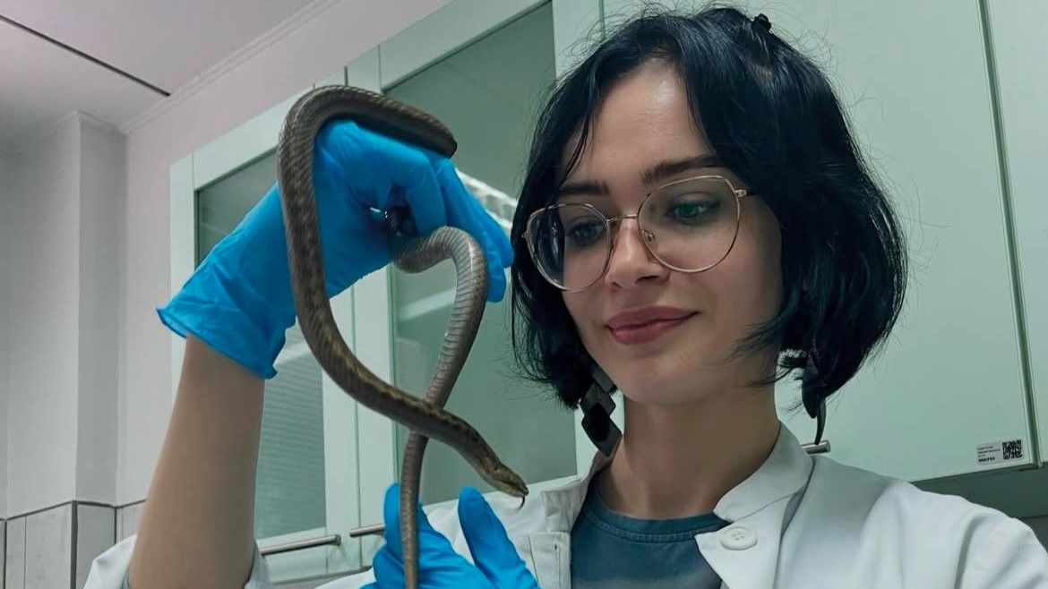 Zmije se probudile: Veterinarka Emra Hamidović za Hayat.ba savjetuje kako se zaštititi