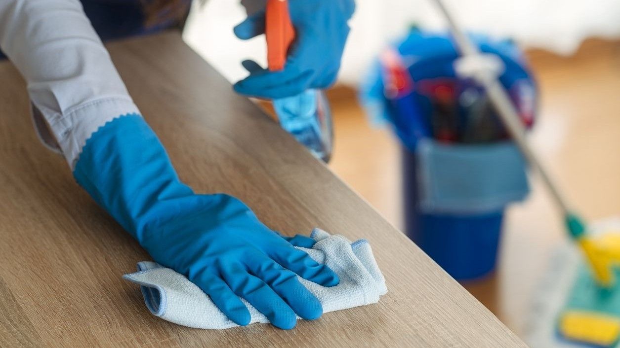 Prašina u domaćinstvu nastaje od različitih čestica – mrtvih ćelija kože, zemlje, dlačica kućnih ljubimaca pa čak i mikroplastike 