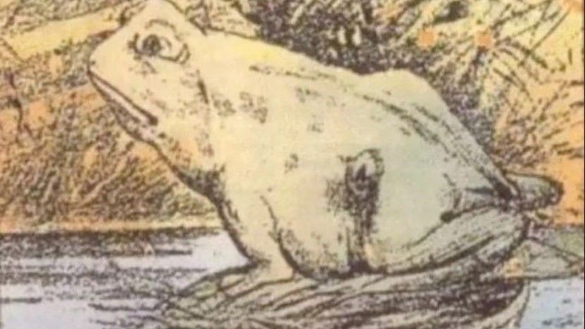 Ukoliko vam je teško da shvatite o kojoj životinji je riječ, naš savjet je da okrenete sliku za 45 stepeni