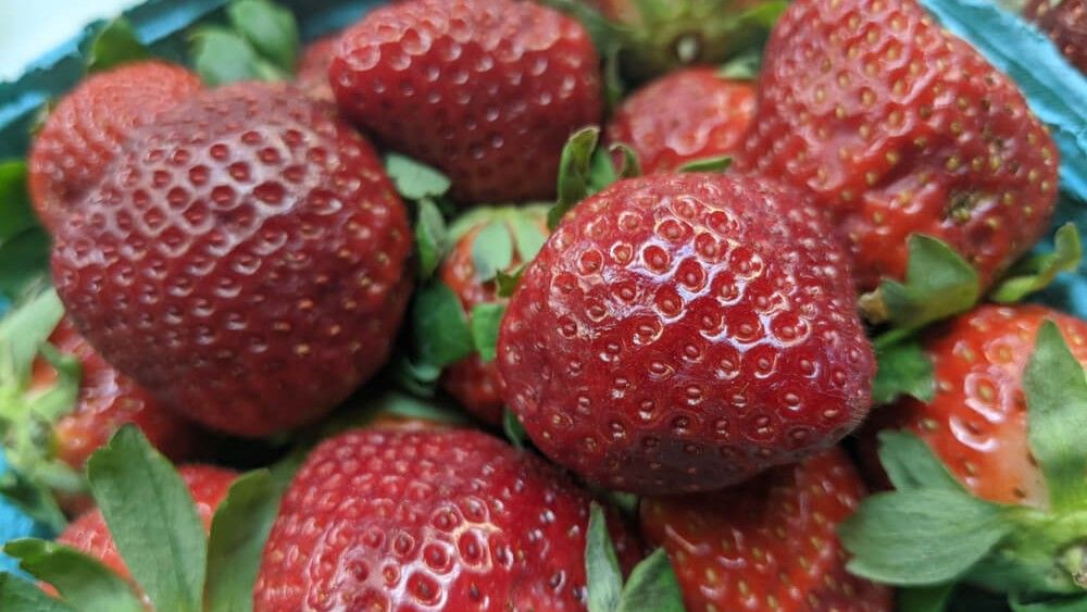 Ne dozvolite da vas prodavači prevare: Ovako ćete prepoznati domaće jagode
