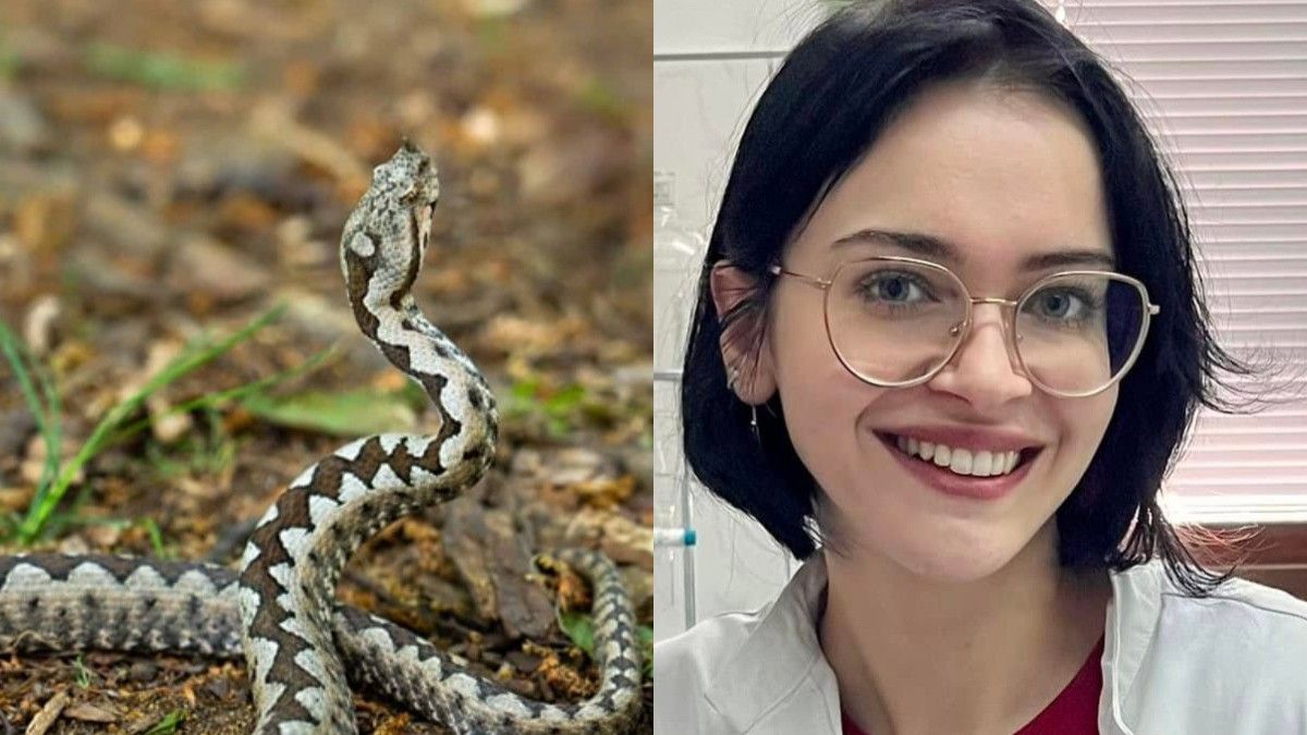 Tokom proljeća i u periodima vrlo toplih dana, zmije su posebno aktivne jer tada intenzivno traže hranu, partnere i nova skrovišta