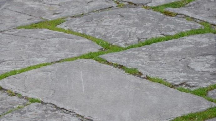 Trik koji će vas spasti napornog kopanja: Evo kako da se za čas riješite korova