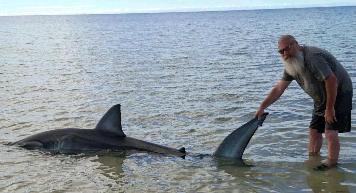 Bilo ga je teško izvući, ali što je voda bila dublja, to je išlo lakše - rekao je Anderson.