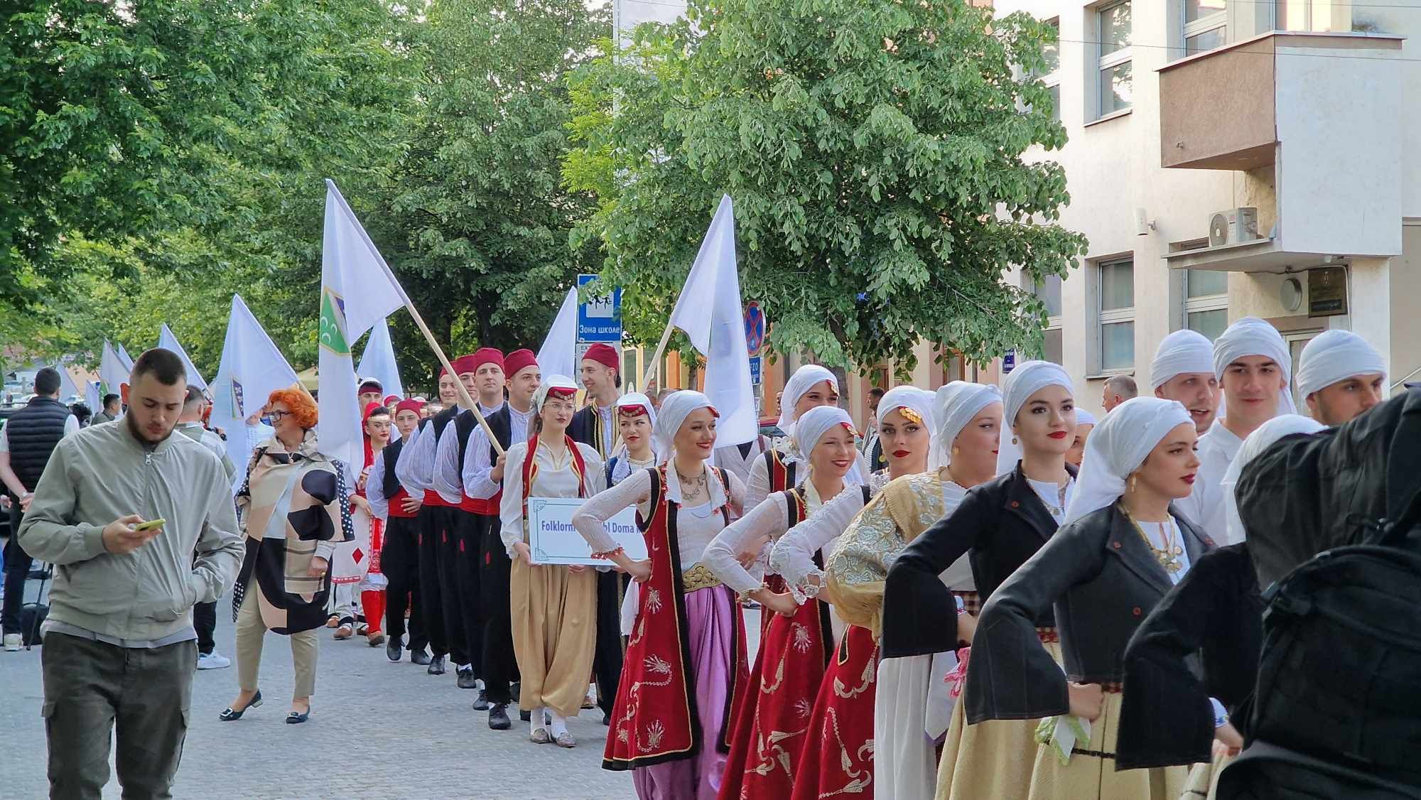 O bosanskom jeziku, historiji, razvoju, identitetu, dijalektima govorili su brojni profesori iz Srbije, Crne Gore, Turske, Kosova, SAD-a i Bosne i Hercegovine