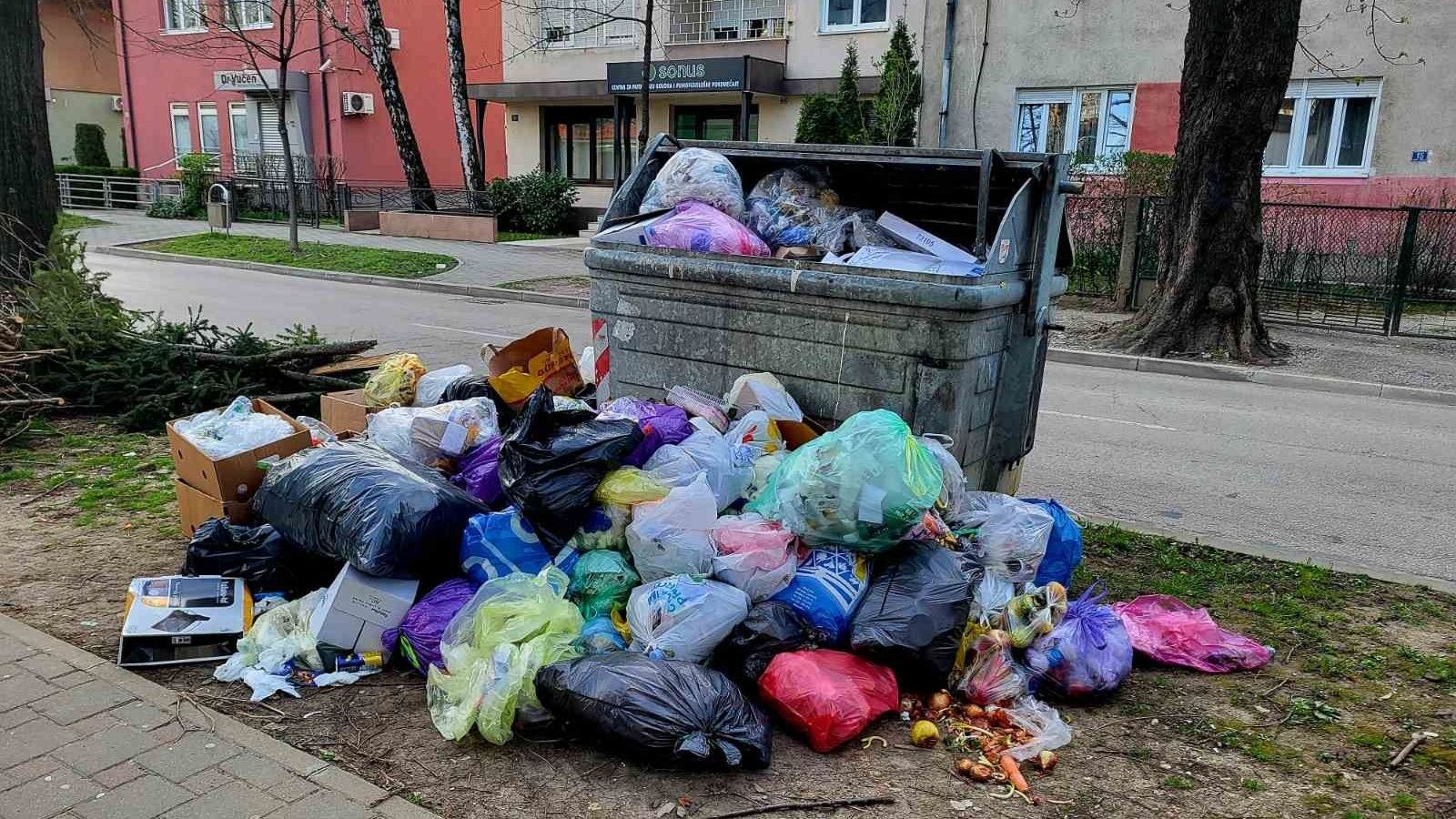 Epidemija hara u Sarajevu: Više odgovornosti, hrabrosti i akcije za bolje sutra svih građana