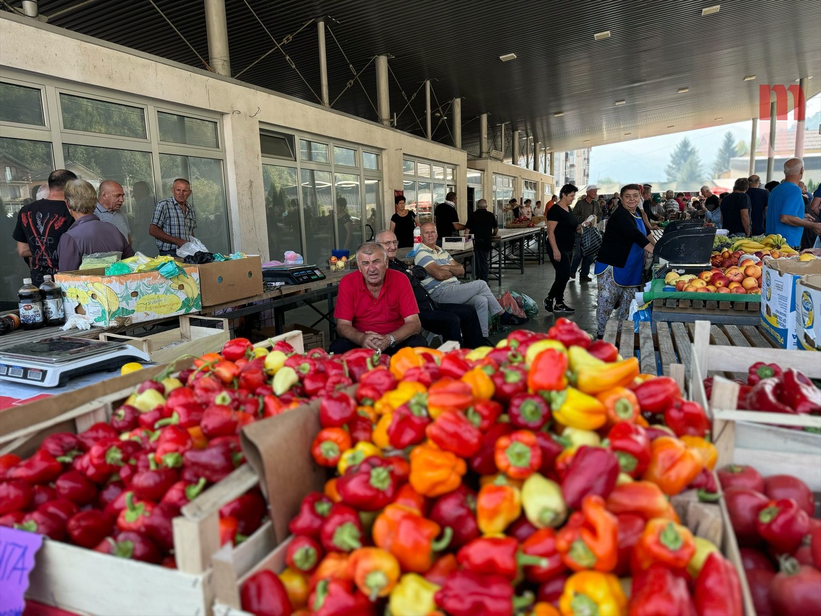 Cijene voća koje bi mogle nahraniti cijeli svemir – ali samo ako ste Elon Musk                   