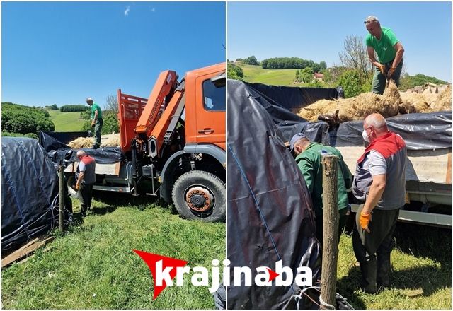 Stočar ostao bez izvora prihoda: Psi lutalice zaklali 32 ovce u BiH