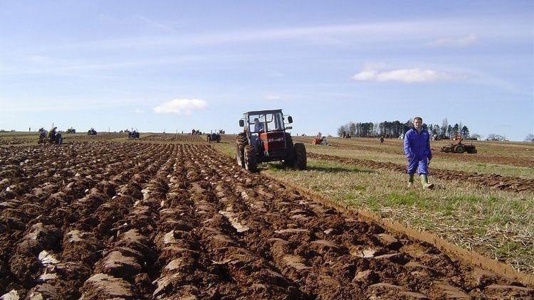 Uvoz hrane u BiH i regiji eksplodirao: Poljoprivreda na koljenima, a rješenja postoje