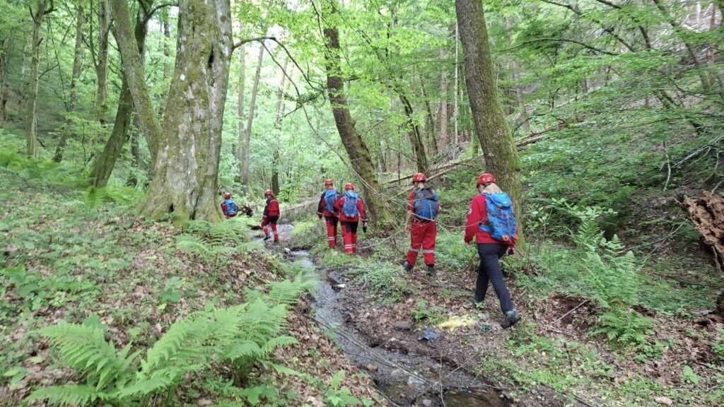 Nestala Šefika Čaušević kod Sanskog Mosta: Danima se traga za njom