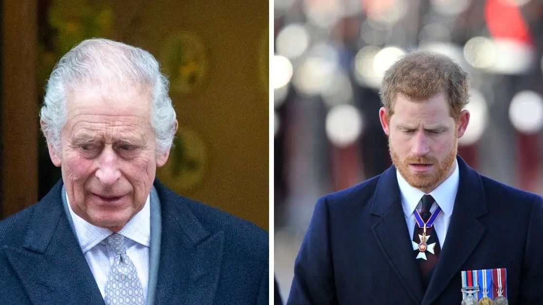 Charlesov prijatelj za strane je medije rekao kako bi bilo "ustavno neprimjereno" da se kralj uključio u žalbu                     