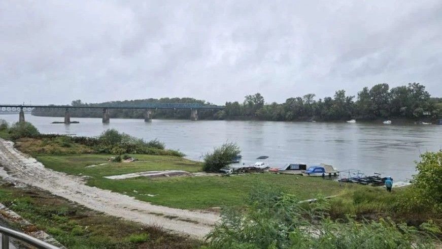Istragom koja traje od januara, ispitani su članovi porodice, uključujući i užu porodicu osumnjičene majke, ali motiv do danas ostaje nepoznat