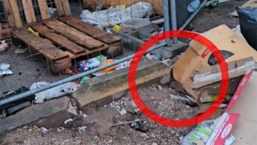 Mišljenja građana o ovom problemu su jedinstvena: svakodnevno se suočavaju s lošim uvjetima života, a najgore je to što niko ne preuzima odgovornost za to.