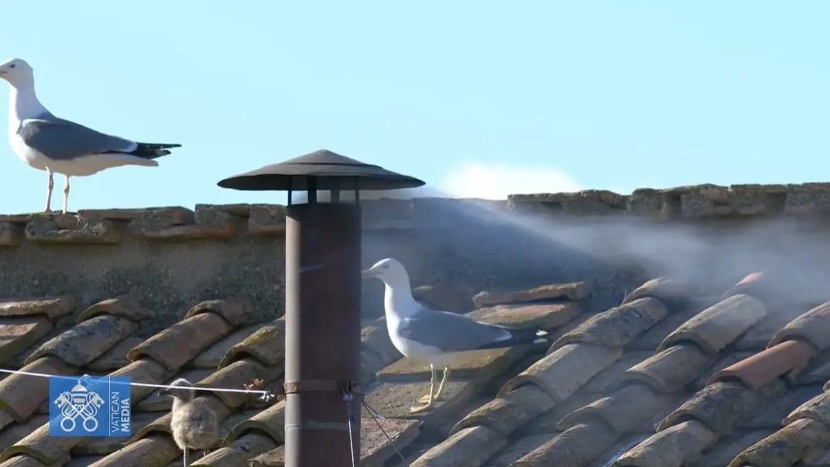 Vjernici su se jutros rano već počeli okupljati na Trgu svetog Petra, očiju uperenih prema dimnjaku Sikstinske kapele