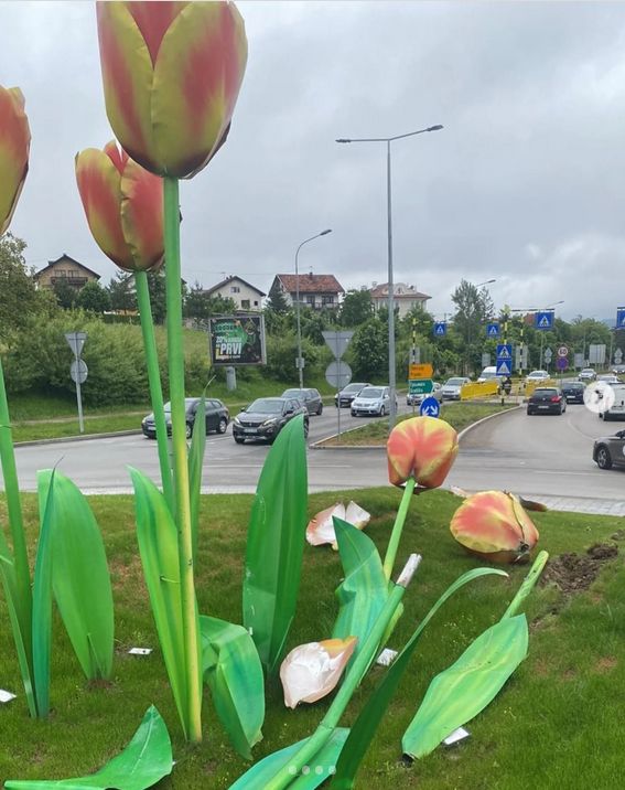 Nepoznati vozač vozilom uništio instalaciju tulipana na kružnom toku