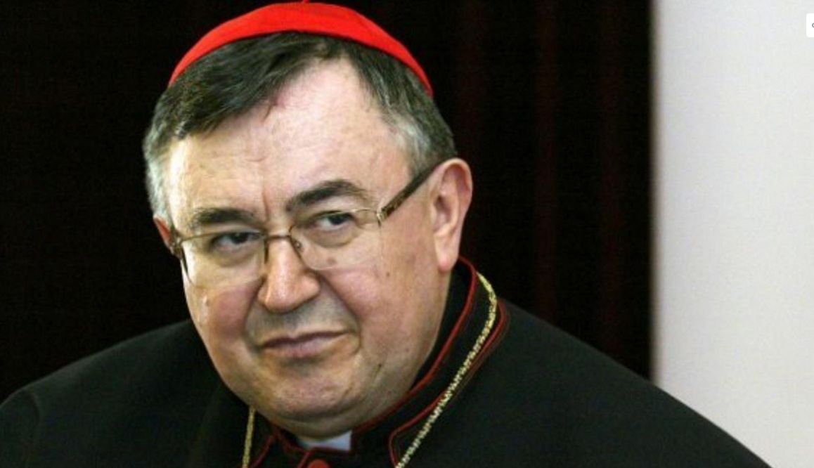 Kardinal Puljić otkrio iz Rima kakav bi trebao biti novi papa: Sada se pomalo šapuće...