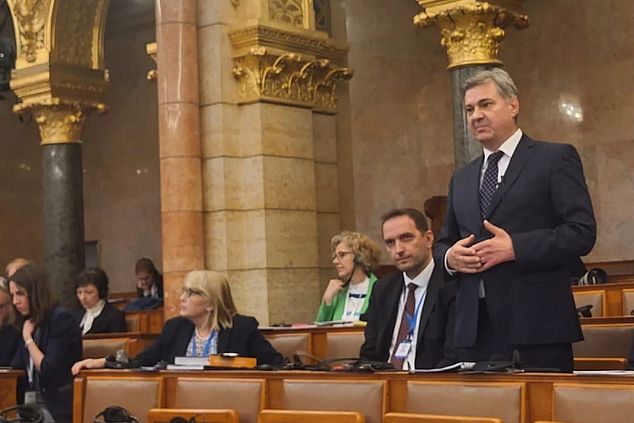 Zvizdić na Konferenciji u Budimpešti: Može doći do ozbiljnog ugrožavanja mira u Bosni i Hercegovini