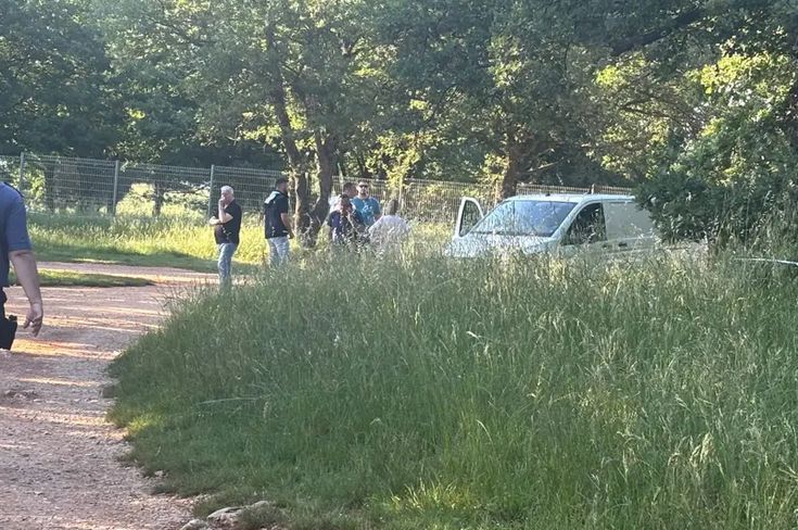 Nakon prvotnog šoka sam se pribrala. Vratila sam se do tog automobila koji sam vidjela u tom šumarku