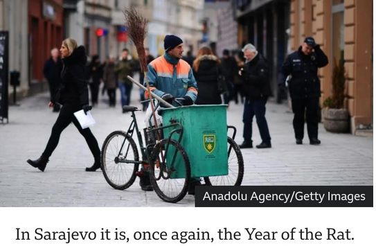 Glavni grad ili glodavi grad? BBC piše o najezdi glodara u glavnom gradu BiH
