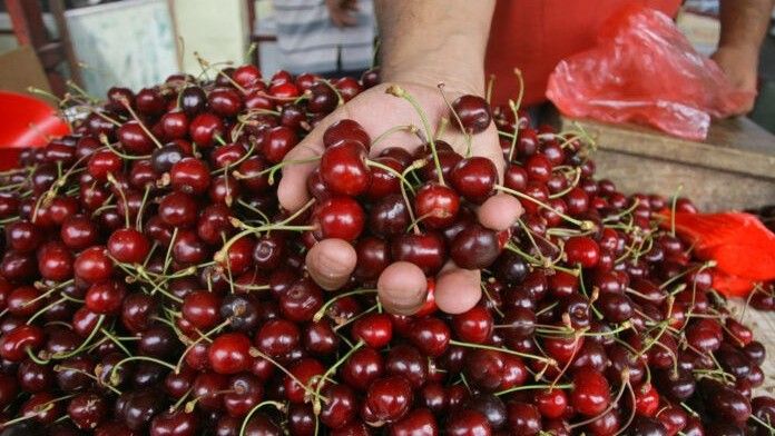Cijene nikad više: Dvije šake trešanja i jagoda koštaju kao kilogram piletine
