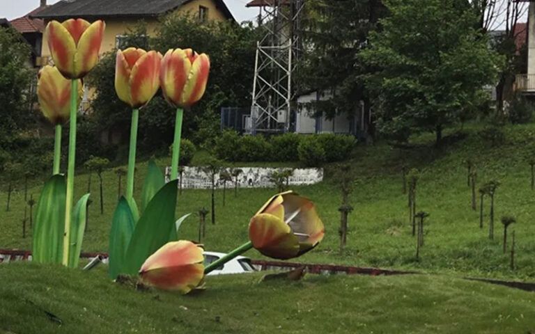 Sinoć se na kružnom toku u Rosuljama, u Banjaluci, desila saobraćajna nesreća nakon koje je uništena instalacija tulipana.