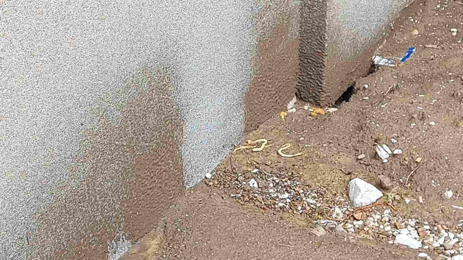 Građani Vogošće ogorčeni na izvođača radova: Stanje stanova šehidskih porodica neuslovno