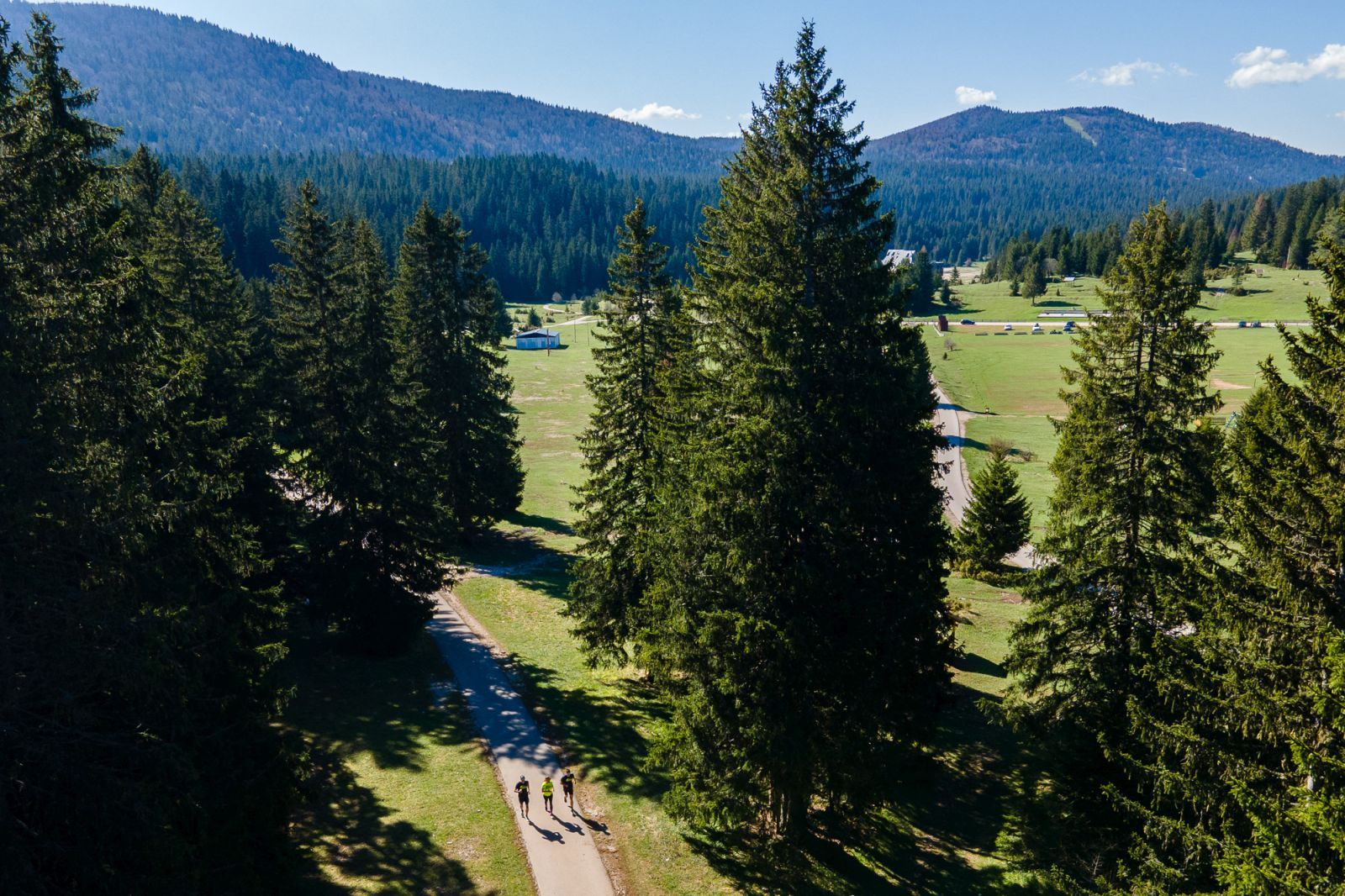 Wings for Life World Run okuplja stotine trkača s jednim zajedničkim motom – „Trčimo za one koji ne mogu“