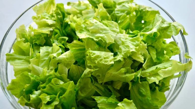 Korisno je da upotrijebite veliku posudu hladne vode i potopite listove