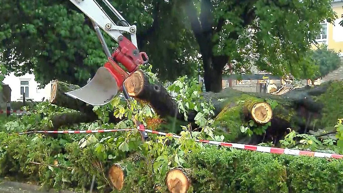 Hitne službe su intervenisale na uklanjanju oborenog drveća, a zabilježeni su brojni udari groma