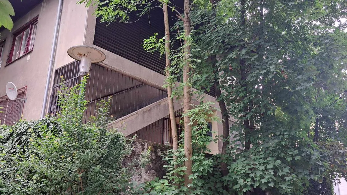 Sumnja se da je ona majku hladnim oružjem ubila prije dva dana