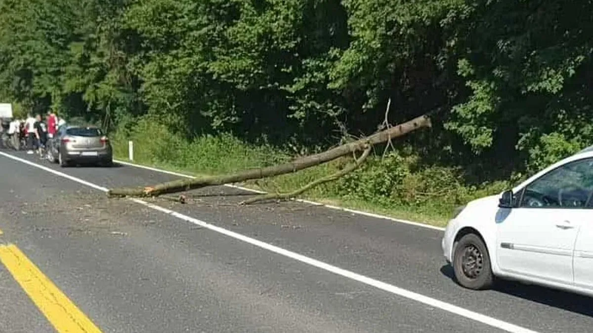 Nesreća kod Srednjeg: Motociklista udario u stablo, hitno prebačen na KUM