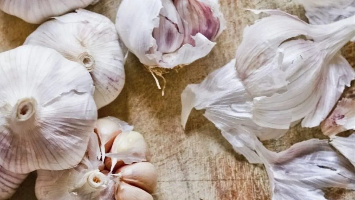 Naučnici su potvrdili da konzumiranje bijelog luka na prazan želudac povećava njegovo dejstvo u smislu prirodnog antibiotika 