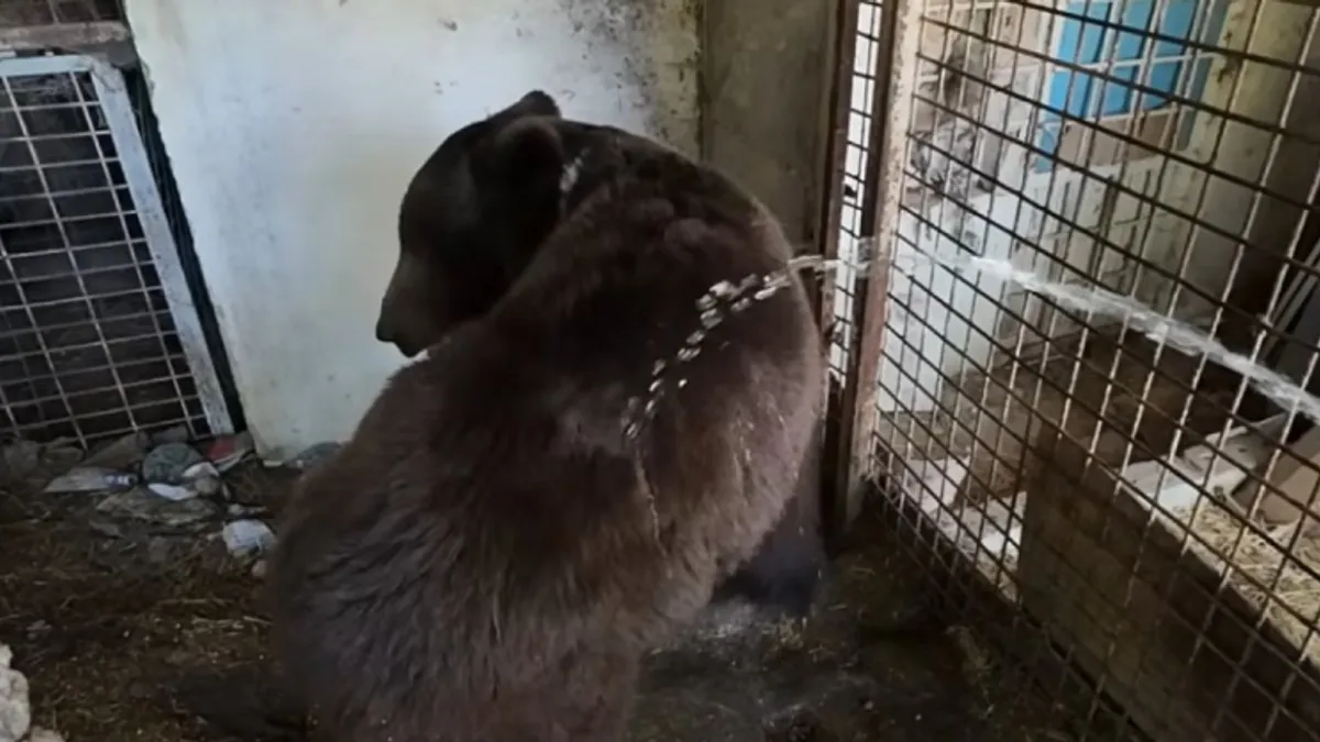 function r(){if(it(n),n.value===Hm){let o=null;throw new D(-950,o)}return n.value}