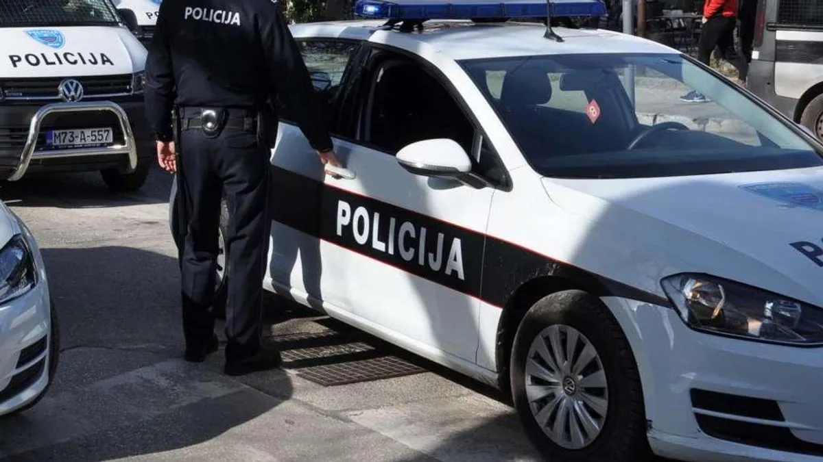 Dječak (14) teško ranjen u Zenici: Maloljetni brat ga pogodio iz vazdušne puške