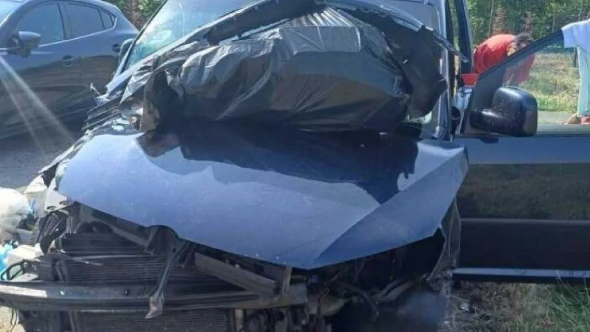 Zbog jakog udara tokom udesa, otvorila su zadnja vrata kroz koja su pobjegli dvije mačke i dva psa.