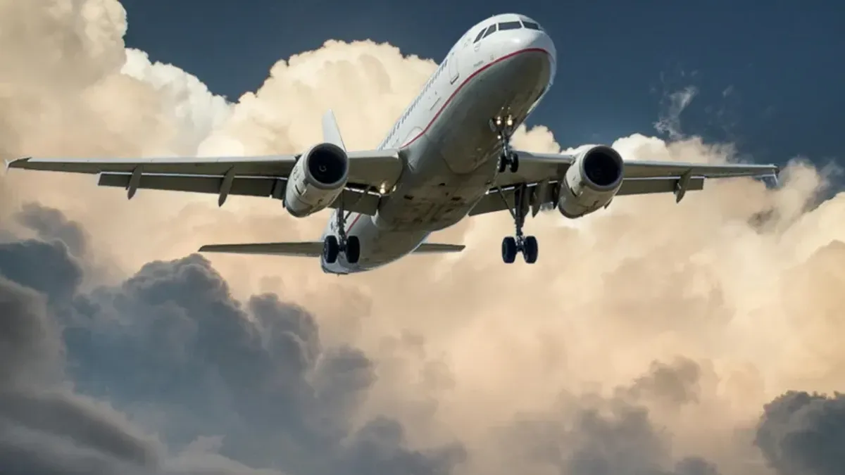 Ljudi su pokušavali pobjeći u stražnji dio aviona kako bi se sakrili, ispričala je putnica