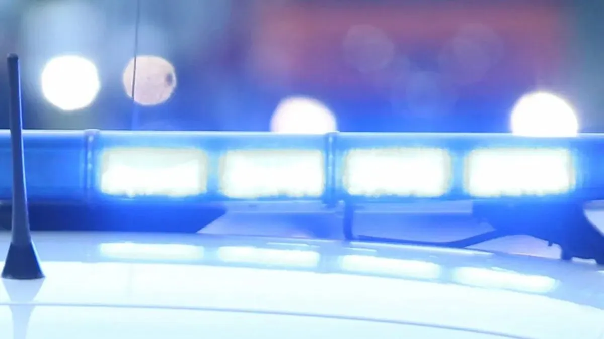 Istražitelji istražuju je li napad bio rasno motiviran ili potaknut drugim faktorima, dodali su ruski mediji