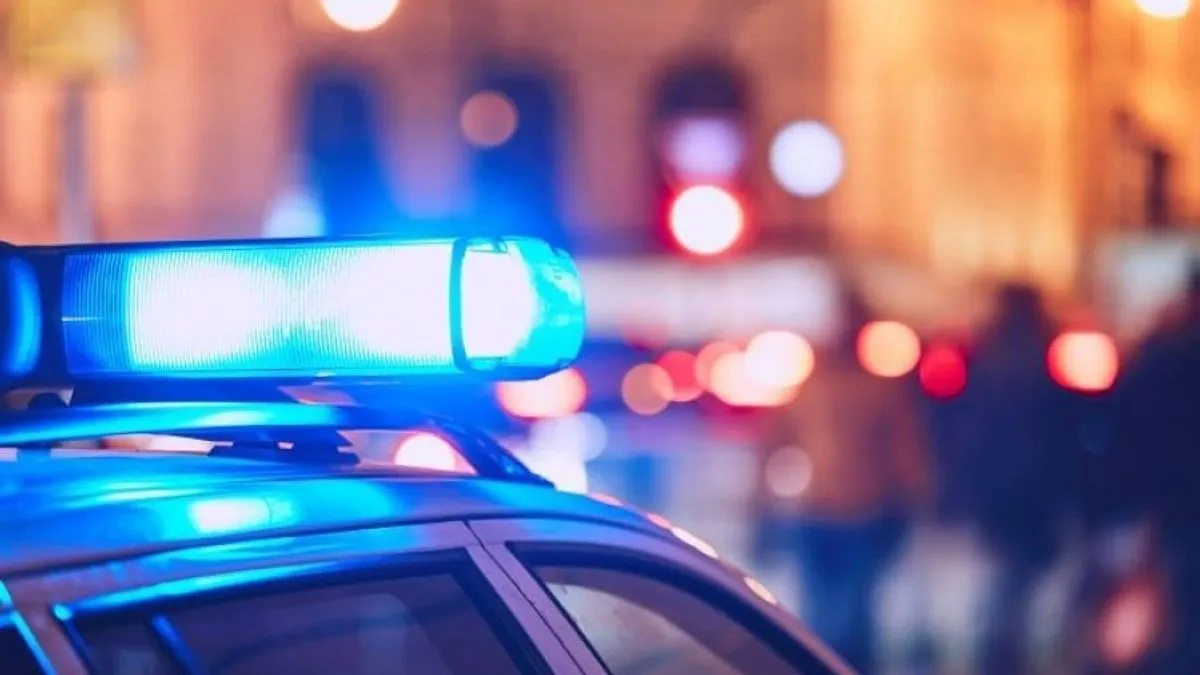 Na lice mjesta su za samo nekoliko minuta stigli i drugi spasioci, koje je odmah obavijestio jedan lokalni preduzetnik