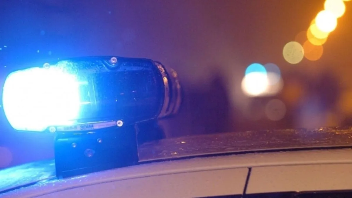Tragedija u susjedstvu: U nesreći poginuli brat i sestra, porodica se vraćala s odmora