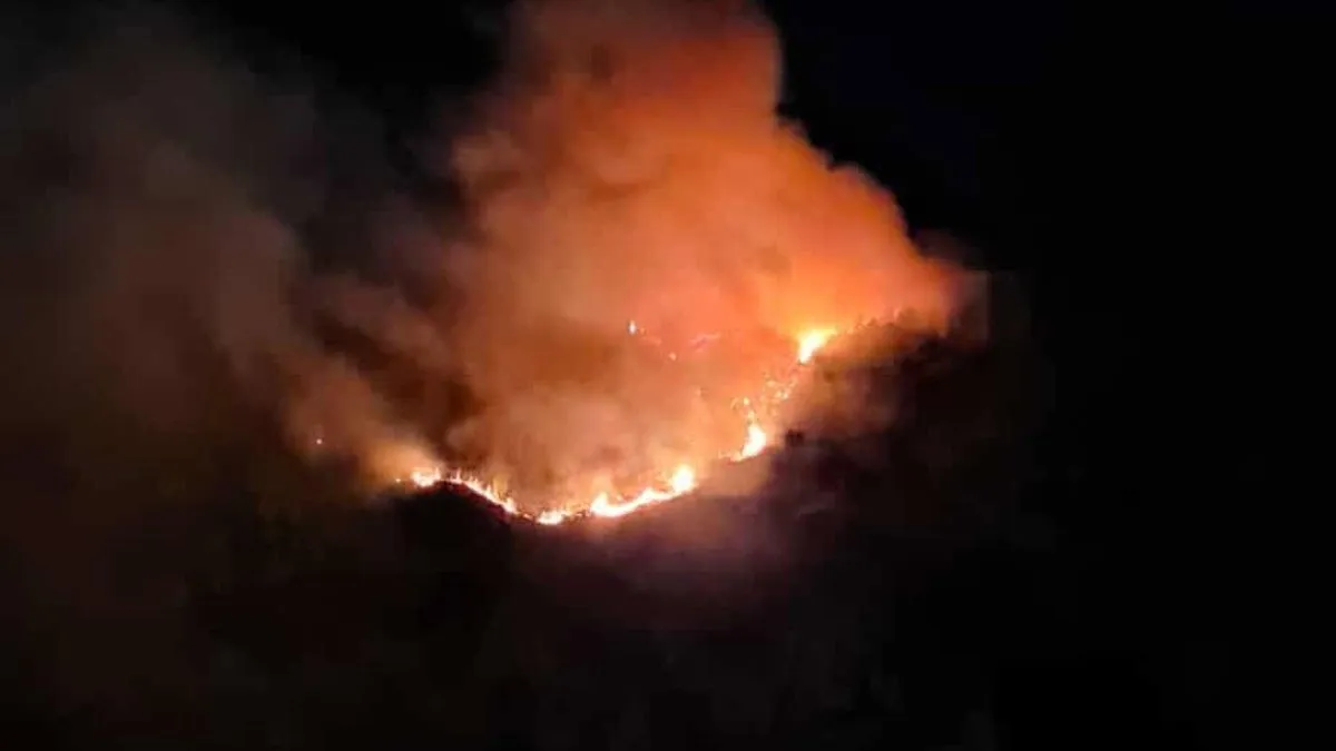 Požar dolazi u trenutku kada je vegetacija suha, a temperature visoke, što dodatno povećava rizik i otežava intervenciju.