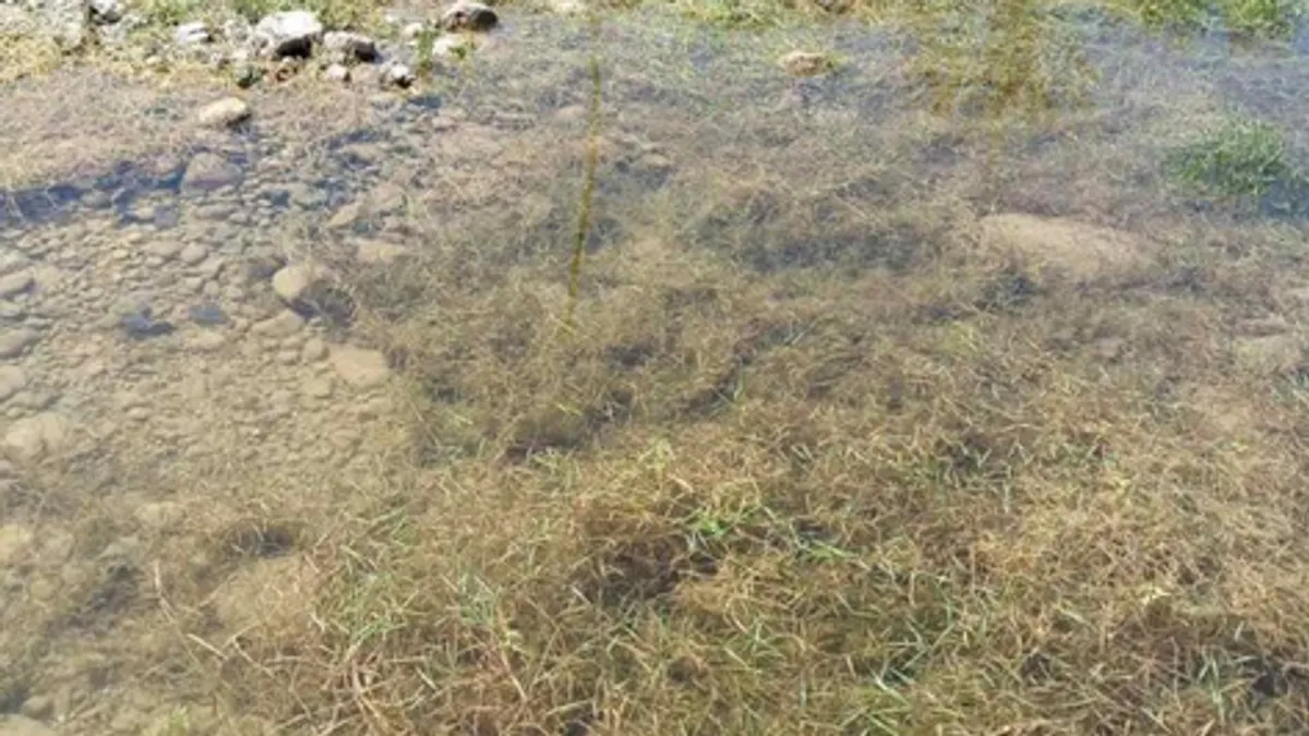 Splavovi na suhom, računi neplaćeni: Ekološka i ekonomska kriza na Jablaničkom jezeru