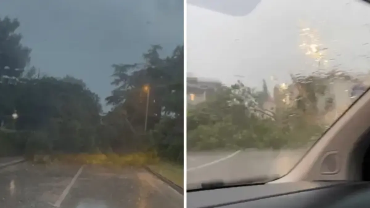 function r(){if(it(n),n.value===Hm){let o=null;throw new D(-950,o)}return n.value}