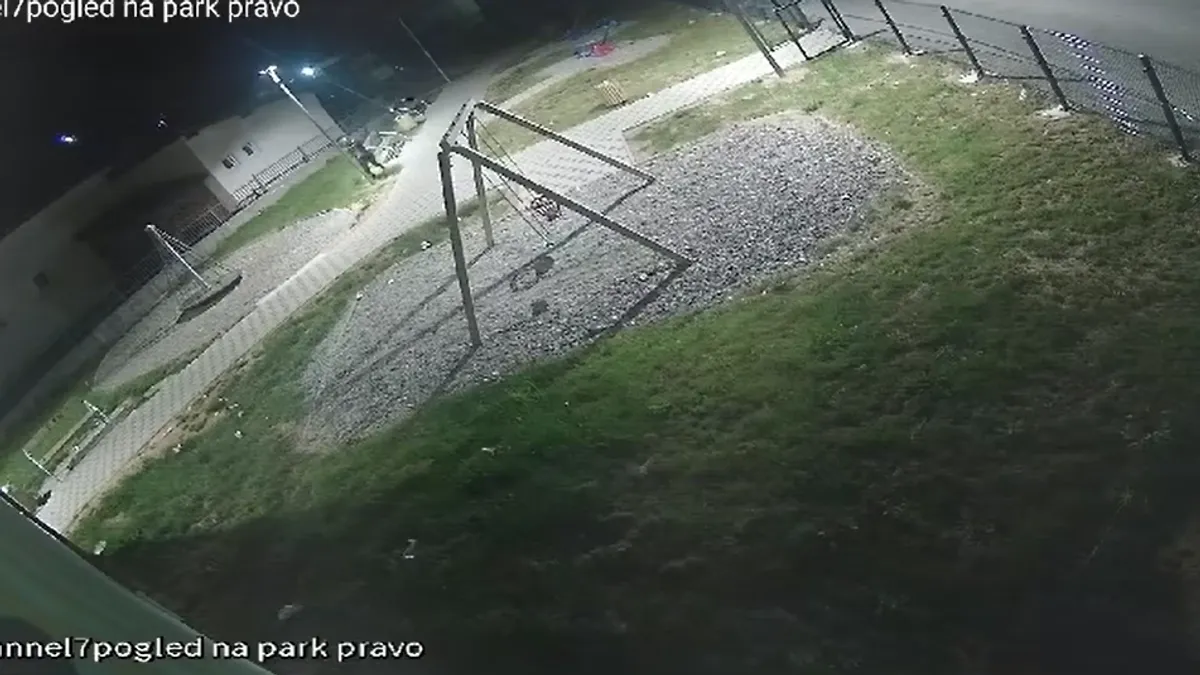 Čomor je pozvao nadležne da u što kraćem roku identifikuju počinioce i poduzmu sve zakonom predviđene mjere. 