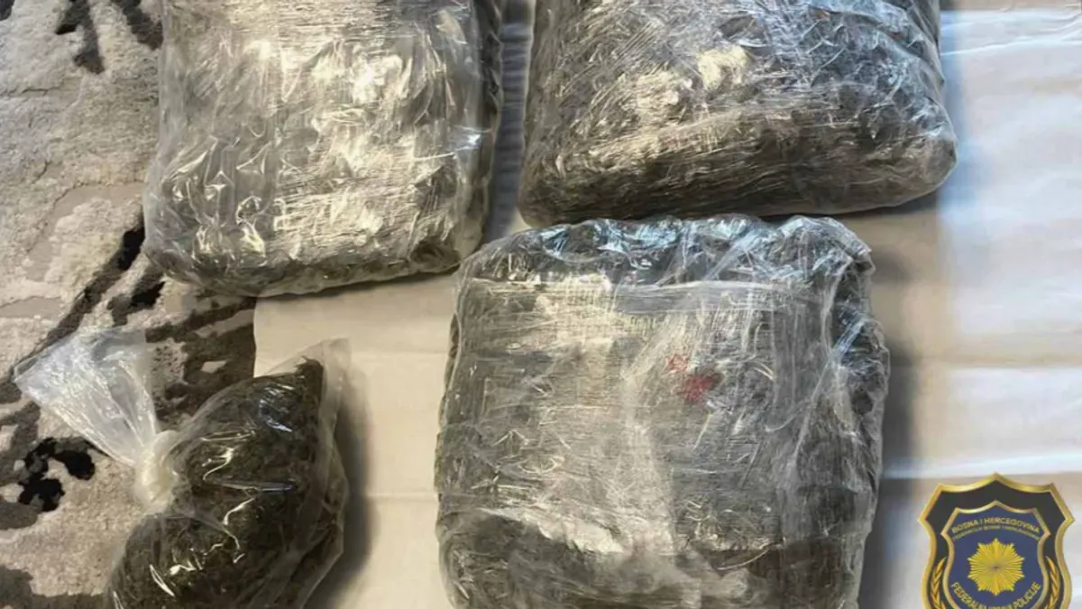 FUP u Sarajevu uhapsio jednu osobu: Zaplijenjeno preko 4 kg droge