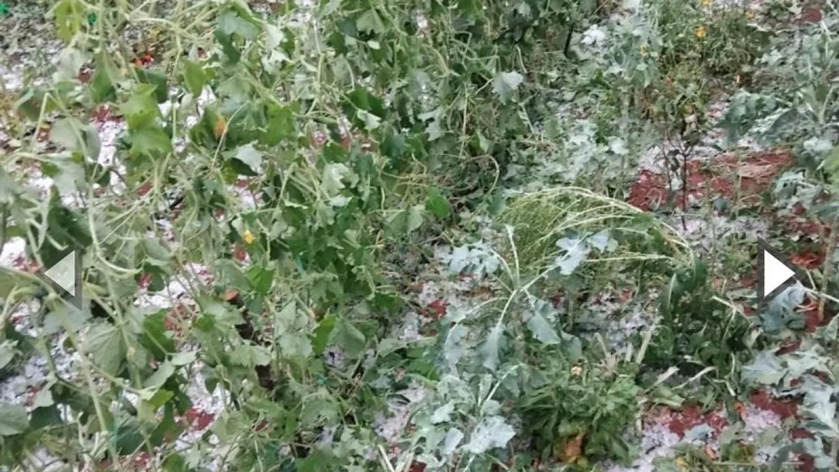 Nevrijeme poharalo ovaj dio BiH: Šteta je velika, sve što smo posadili je izgubljeno