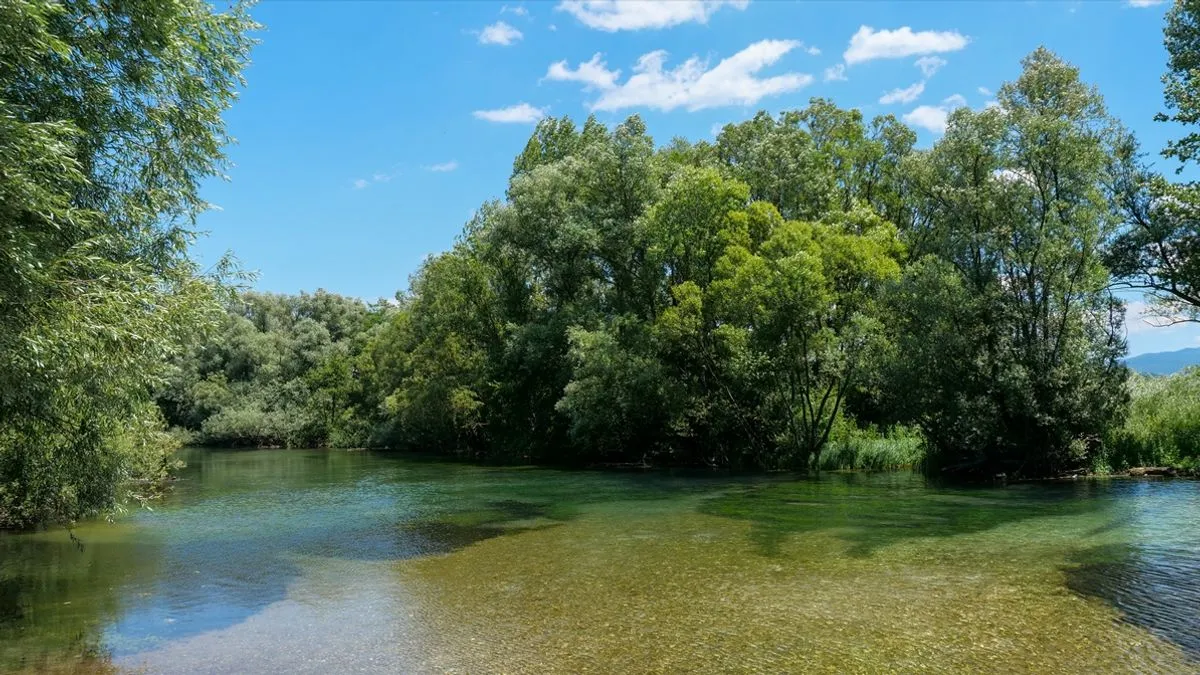 Vrelo Bosne u Sarajevu je jedan od najljepših parkova u Bosni i Hercegovini i jedna je od glavnih atrakcija za turiste i druge posjetioce.
