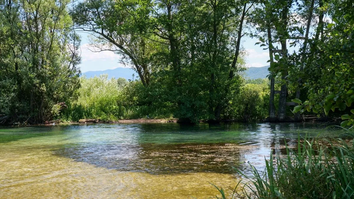 Vrelo Bosne u Sarajevu je jedan od najljepših parkova u Bosni i Hercegovini i jedna je od glavnih atrakcija za turiste i druge posjetioce.