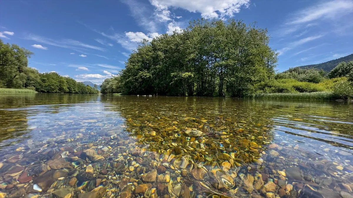 Vrelo Bosne u Sarajevu je jedan od najljepših parkova u Bosni i Hercegovini i jedna je od glavnih atrakcija za turiste i druge posjetioce.