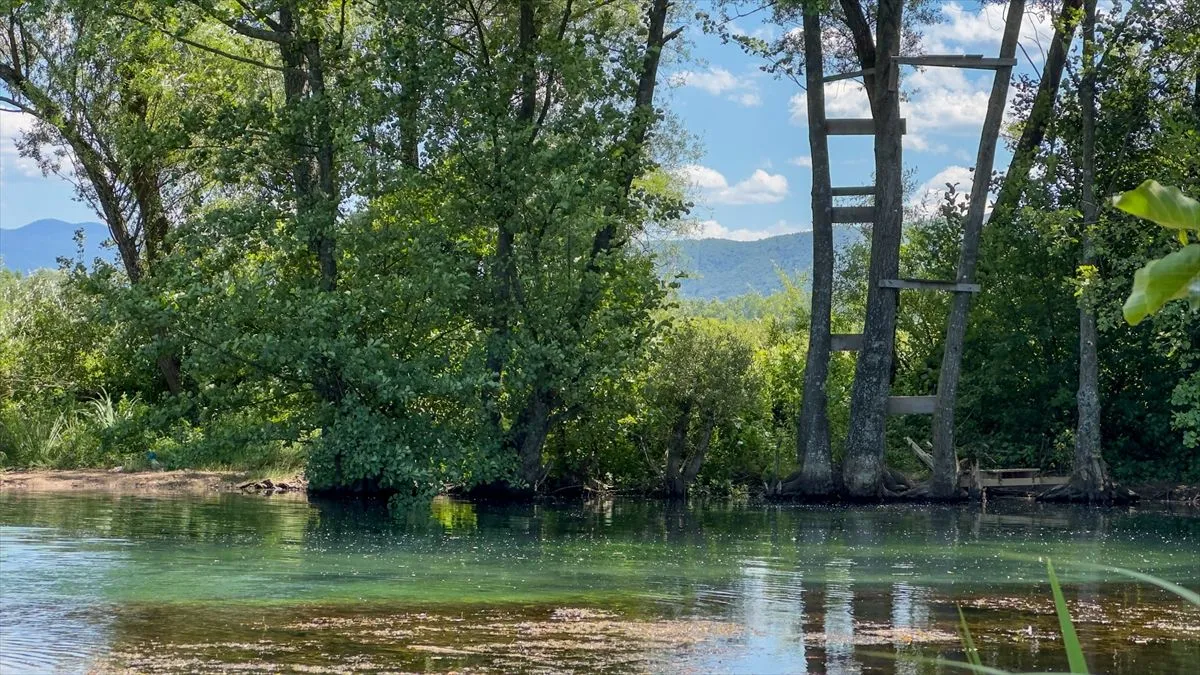 Vrelo Bosne u Sarajevu je jedan od najljepših parkova u Bosni i Hercegovini i jedna je od glavnih atrakcija za turiste i druge posjetioce.