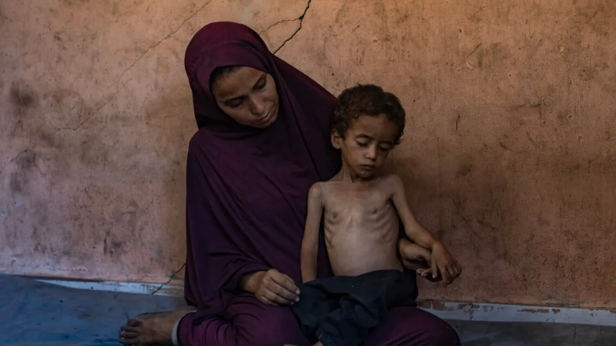 Više od stotinu međunarodnih humanitarnih i ljudskopravaških organizacija pozvalo je svjetske lidere da hitno djeluju.